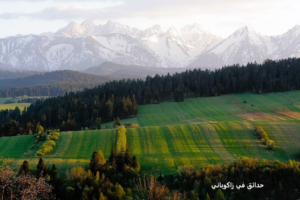 حدائق في زاكوباني