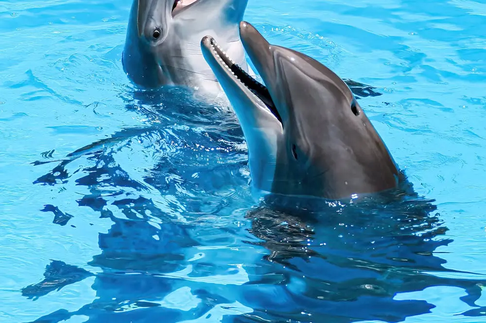 رحلة شرم الشيخ لمدة 7 أيام