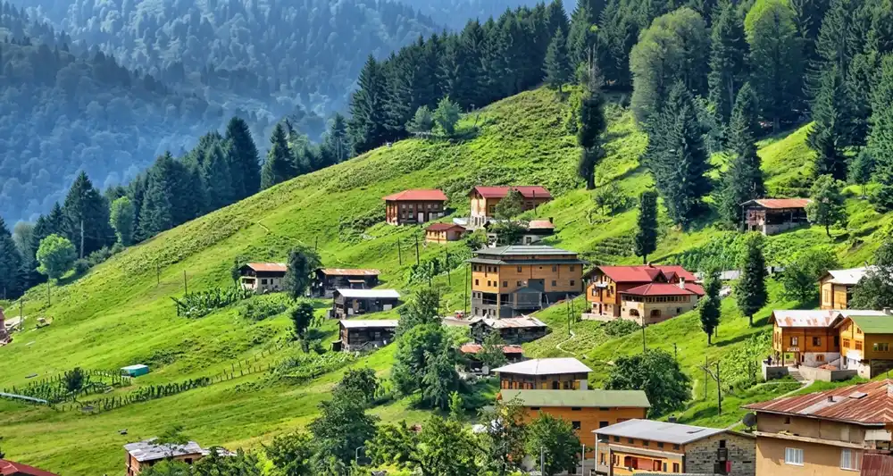 أكواخ ريف اسطنبول